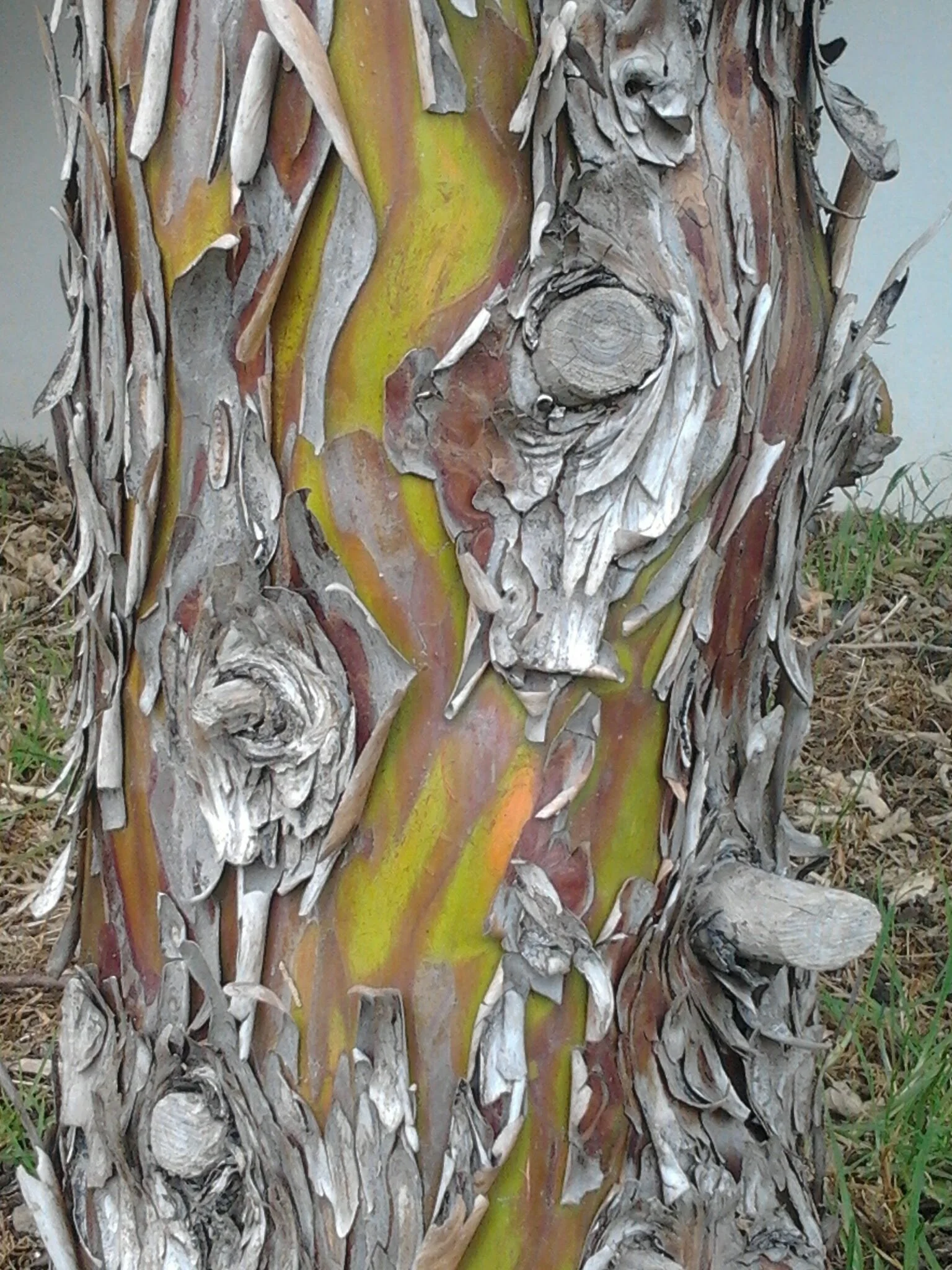 2013-12-02 17.20.39.jpg