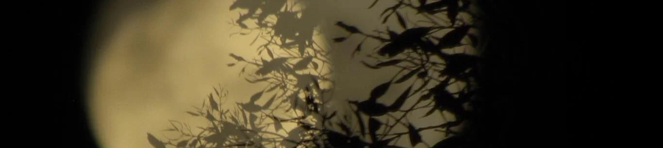 Moon twinned copy.jpg