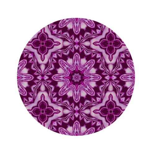 Purple Cabbage