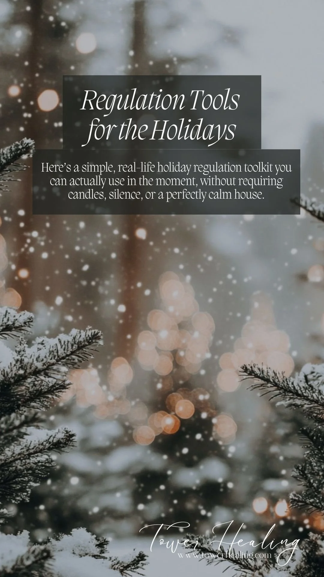 FREE PDF - Regulation Tools for the Holidays