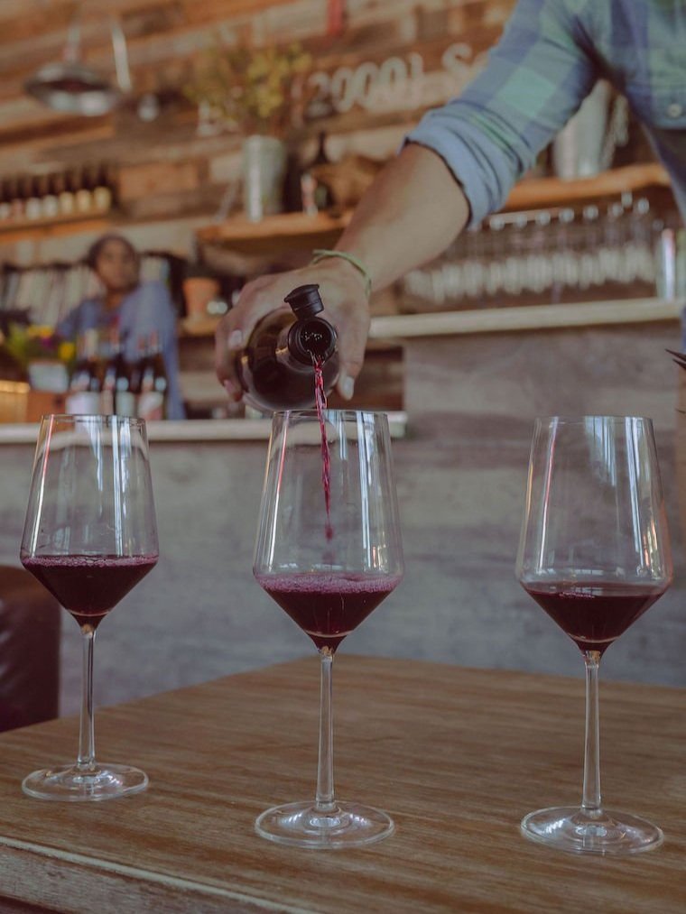 Wine Tasting Flight With Glasses Wine Server Entertainment 
