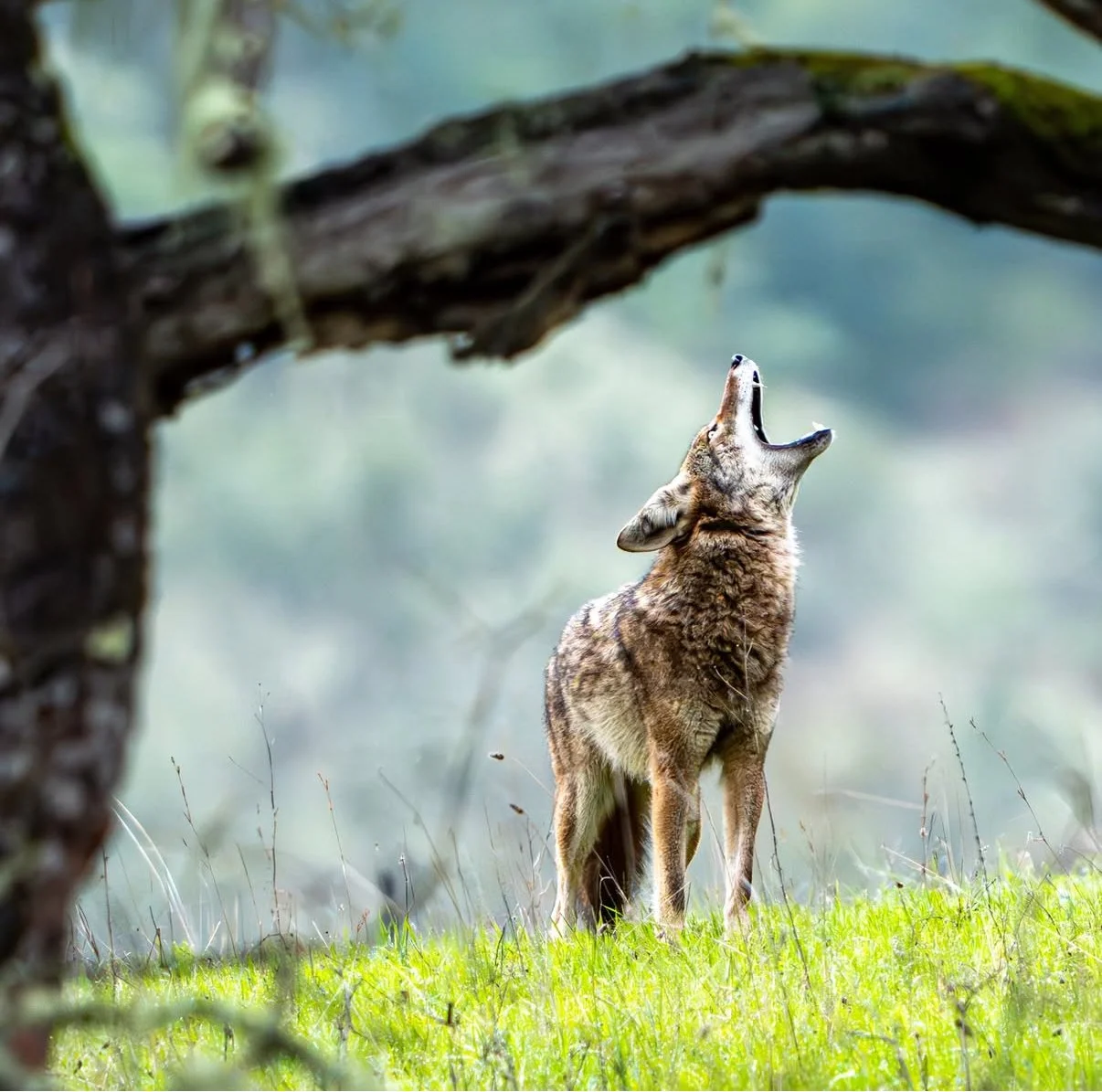 Artist Reception feat. Justin Grady Photography