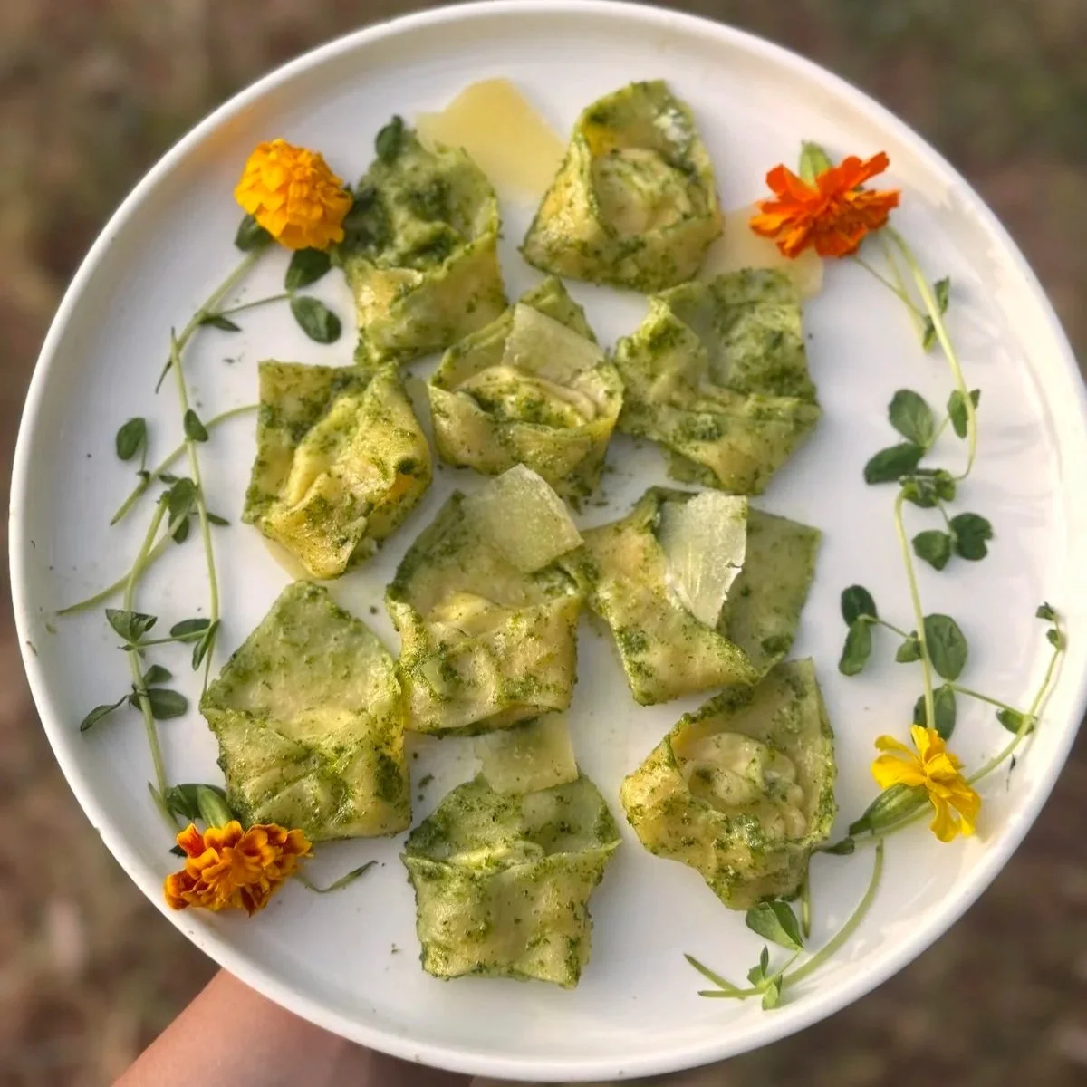Pesto Tortellini