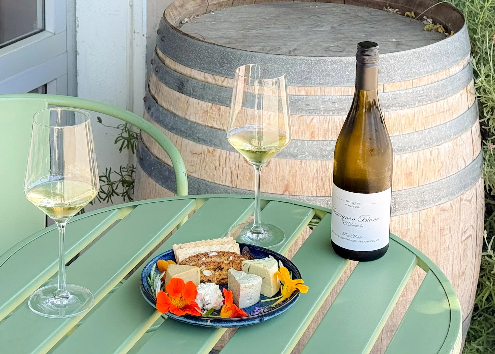 POP-UP: Nova Terra Plant-Based Cheese Tasting