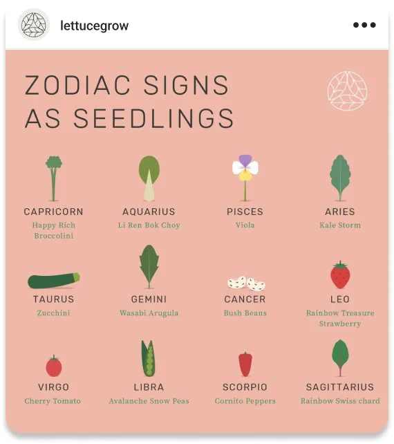 Instagram post for Lettuce Grow of zodiac signs for seeds
