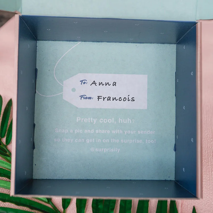 Bottom of Surprisily box