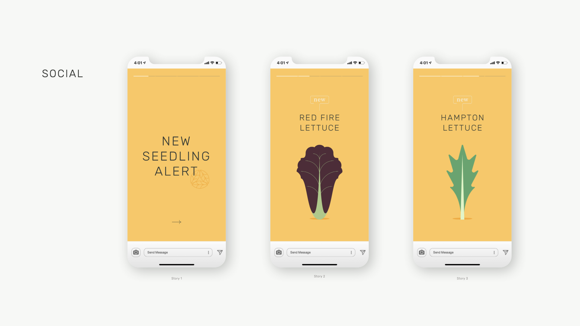 Lettuce Grow — ONA