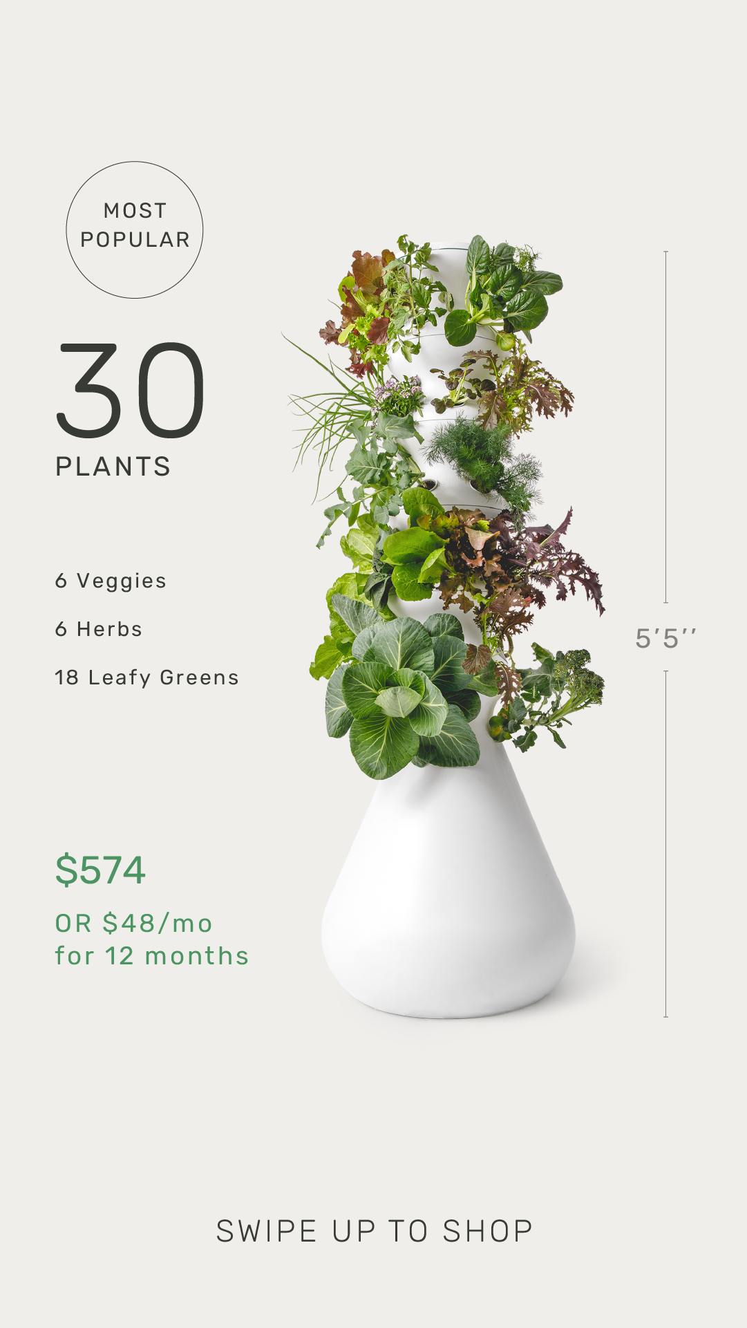 IG stories_PDP-17.png