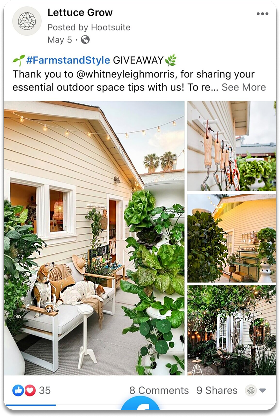 Facebook post from Lettuce Grow