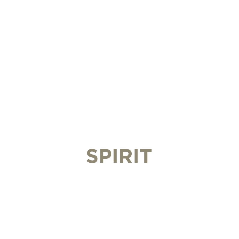 the words inspiration & spirit in a circle