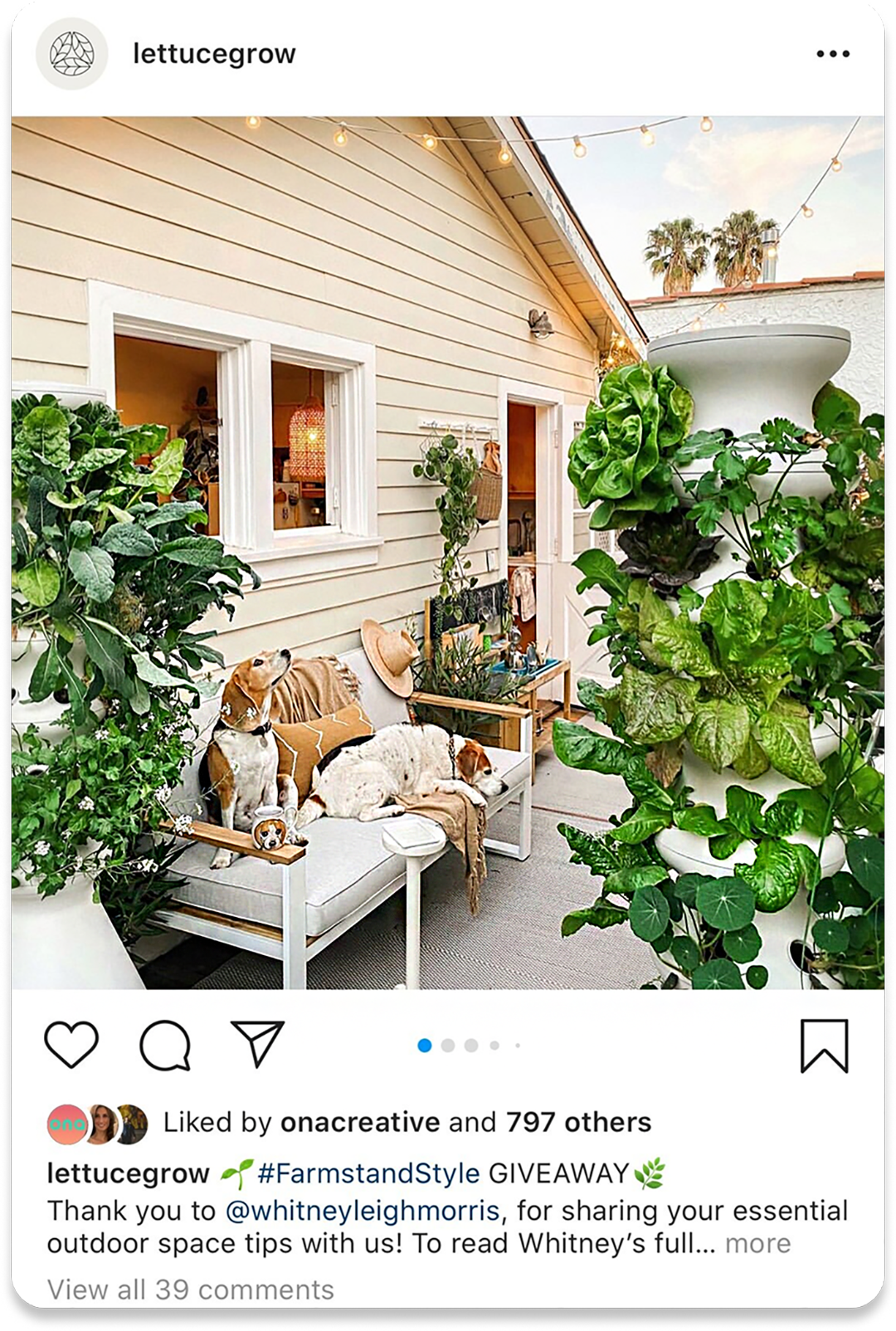 Instagram post from Lettuce Grow