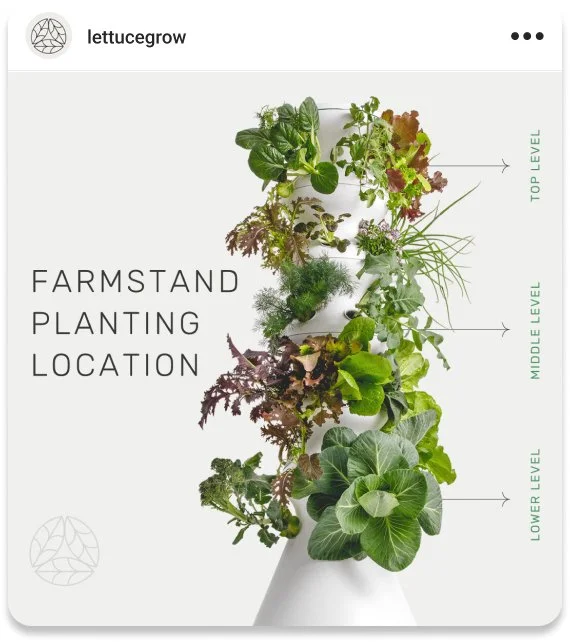 Instagram post for Lettuce Grow of the farmstand planting location diagram