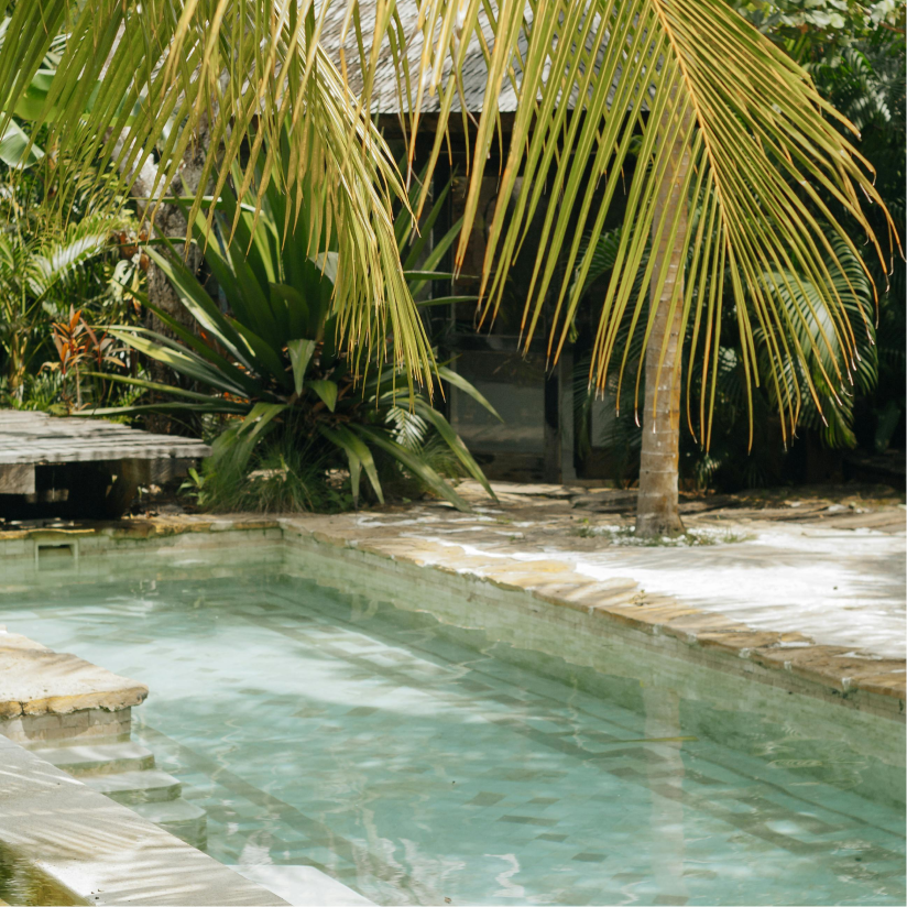 Palm trees by a pool