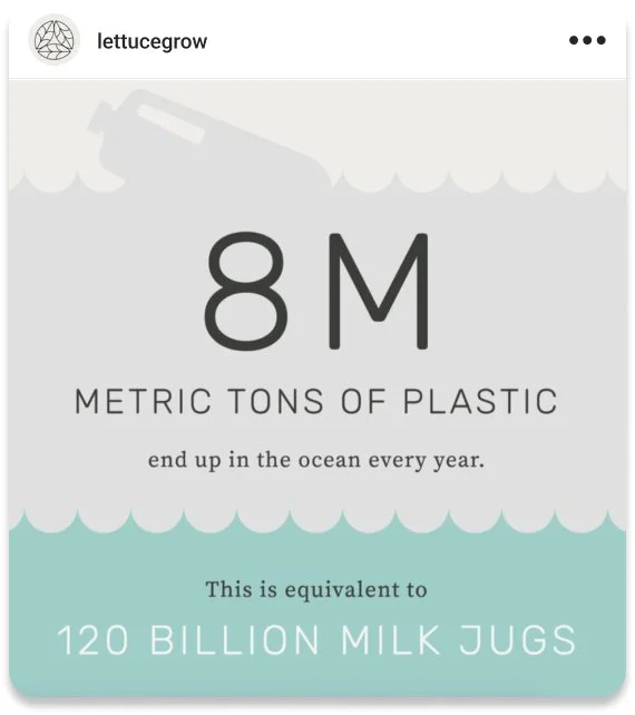 Instagram post for Lettuce Grow of infographic