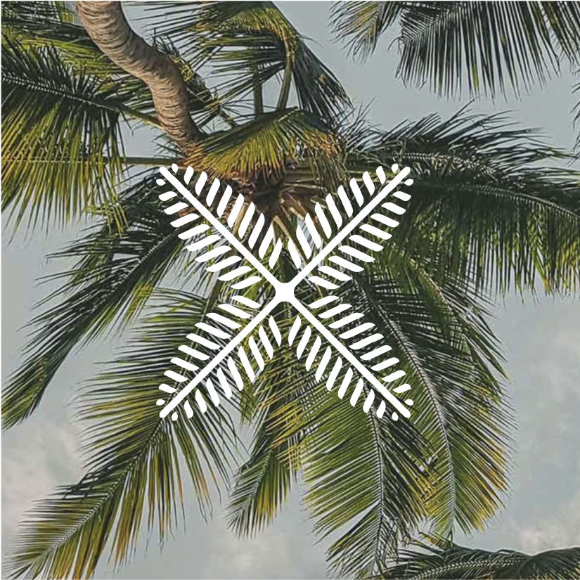 Palm trees in the shape of an "x" in white overtop an image of palm trees