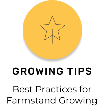 Gold star icon with text underneath that reads"Growing tips:best practices for farmstand growing"