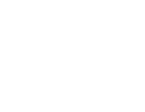 Text that says 'willow' on a black background.