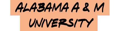 Orange highlight that reads "Alabama A&M University"