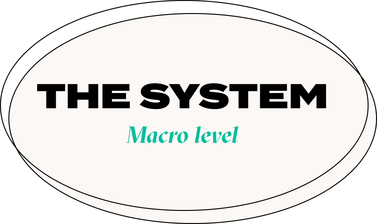 Beige circle that reads "the system- macro level"