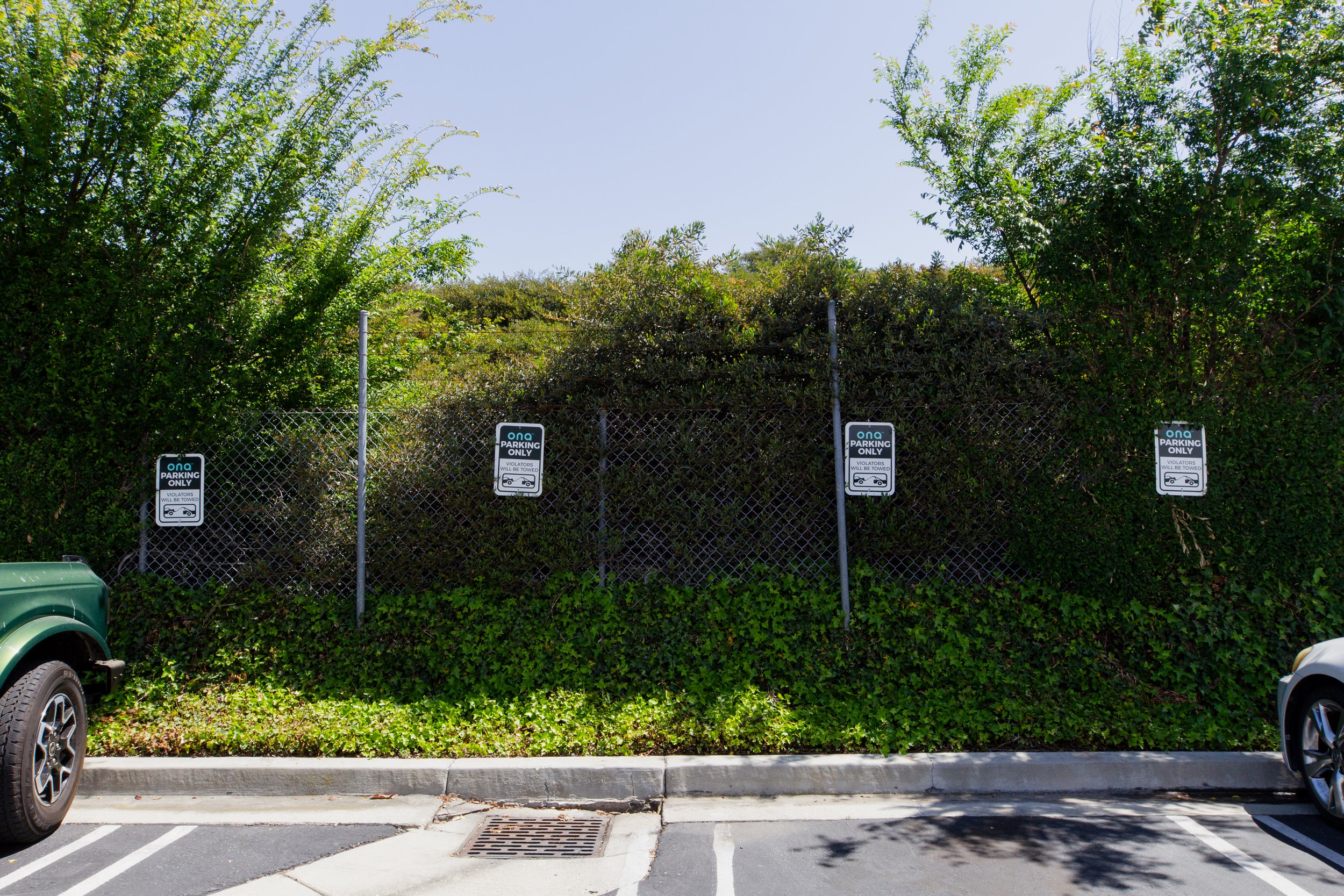Parking lot with three signs that read 'Ona Parking Only' on a chain-link fence covered with green bushes and trees, with two vehicles parked partially visible on either side. ONA Studios.