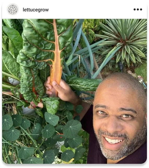Instagram post for Lettuce Grow of man holding leaves