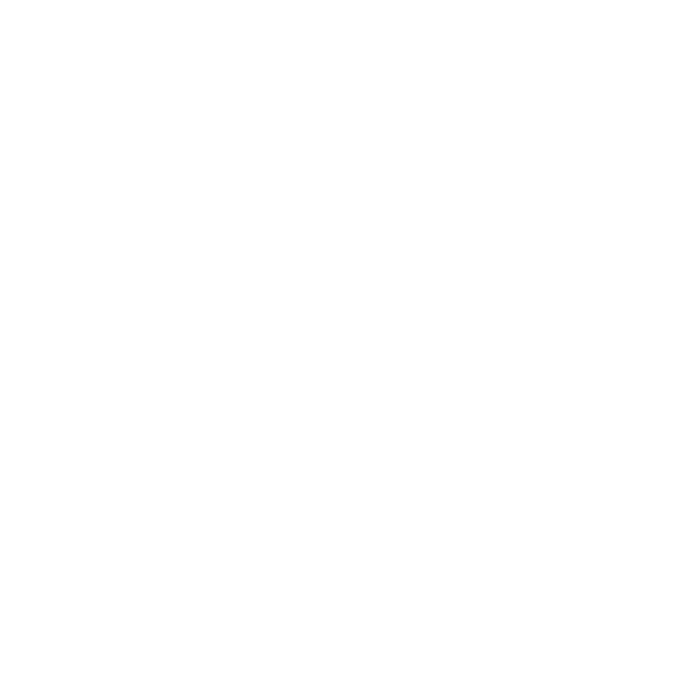 White Nike Maxxed Out logo
