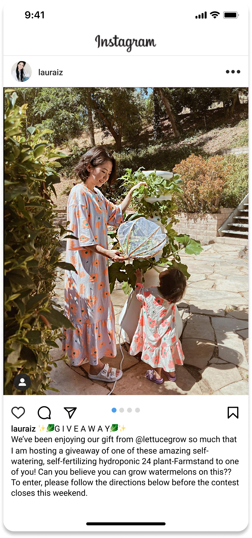 Giveaway post for Lettuce Grow from Laura