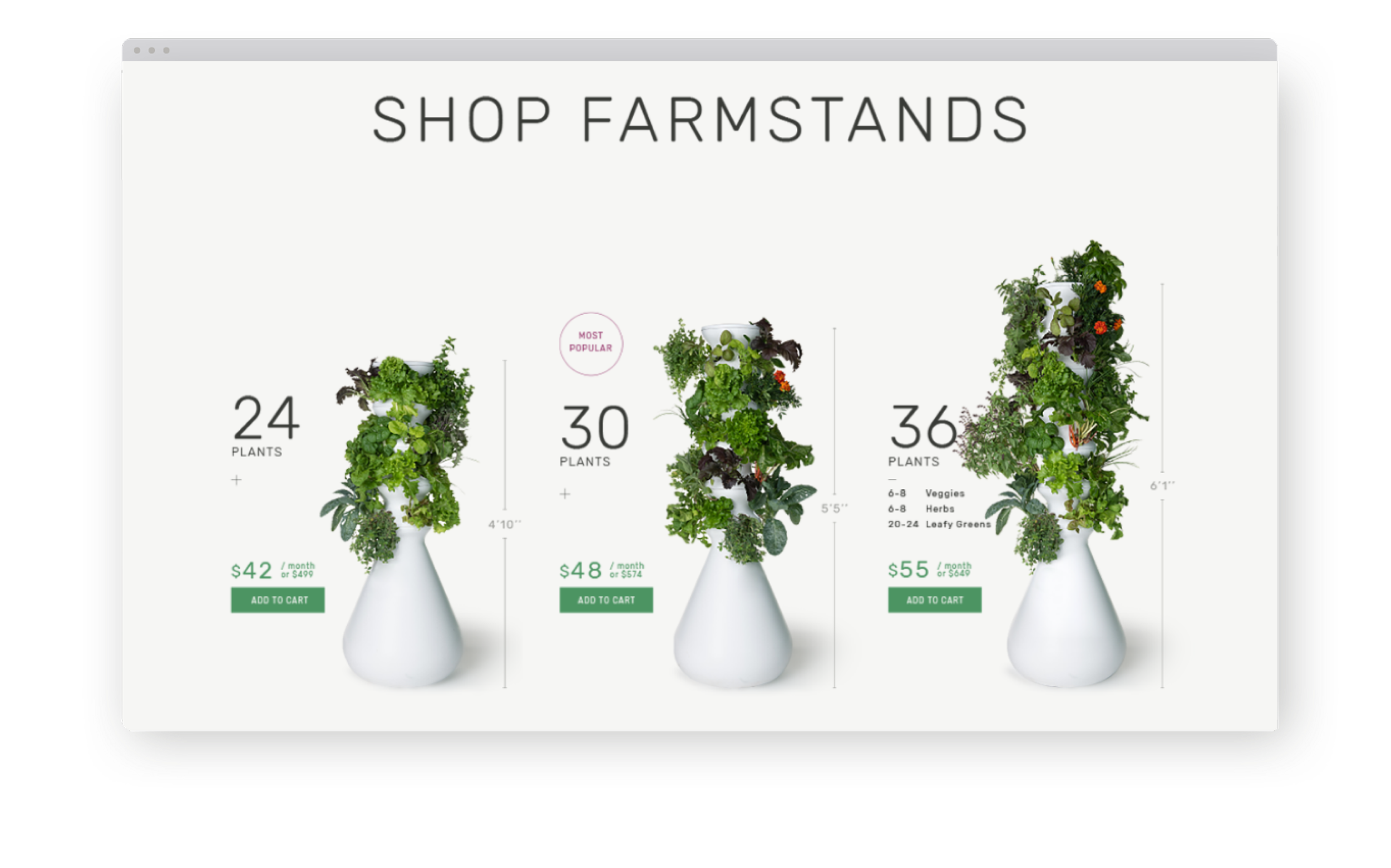 Lettuce Grow Shop page