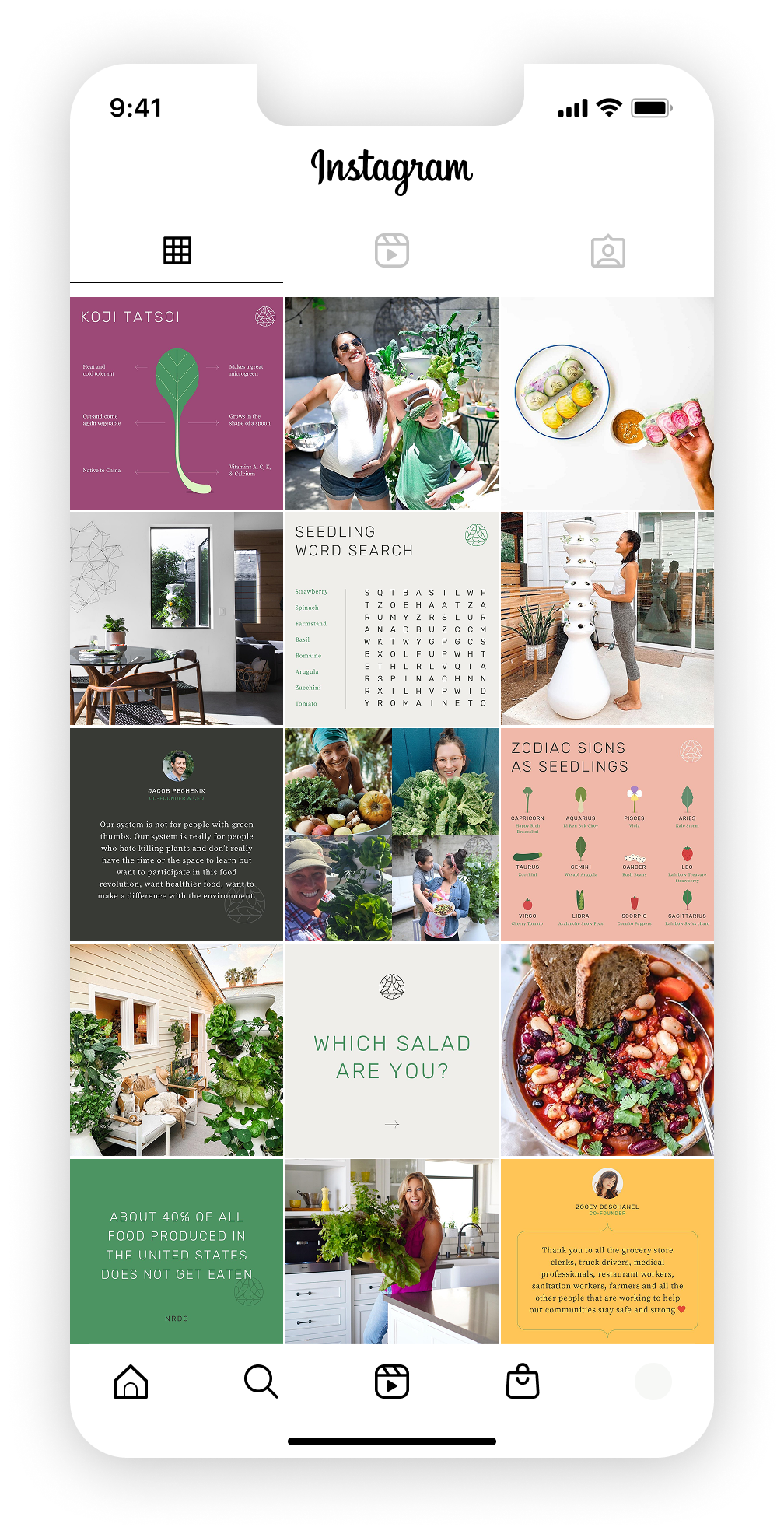 Lettuce Grow Social mock