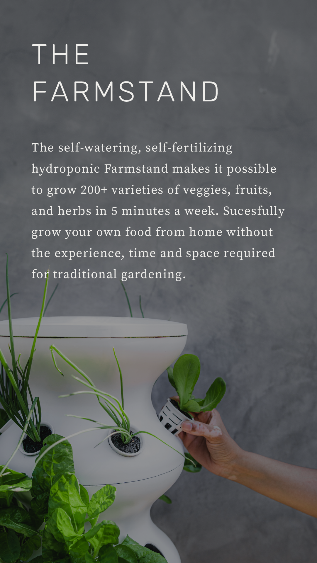 IG stories_PDP-01.png