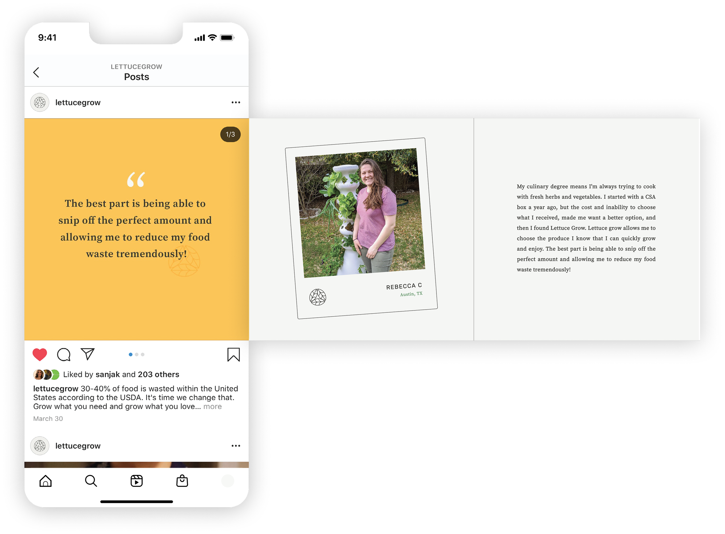Lettuce Grow social carousel mock