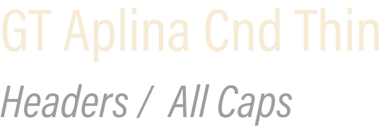 White text that reads "GT Aplina Cnd Thin"