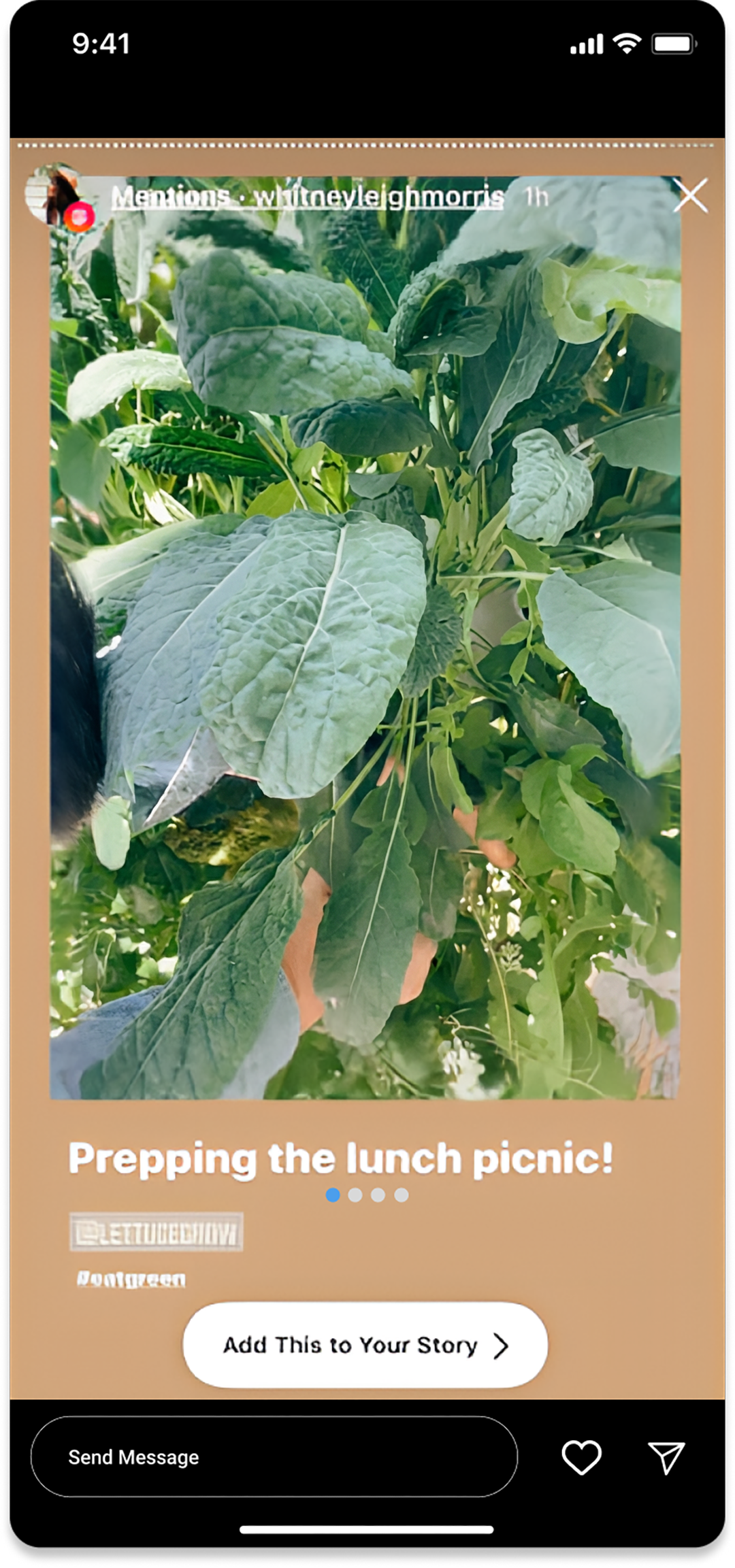 eatgreen-6.png