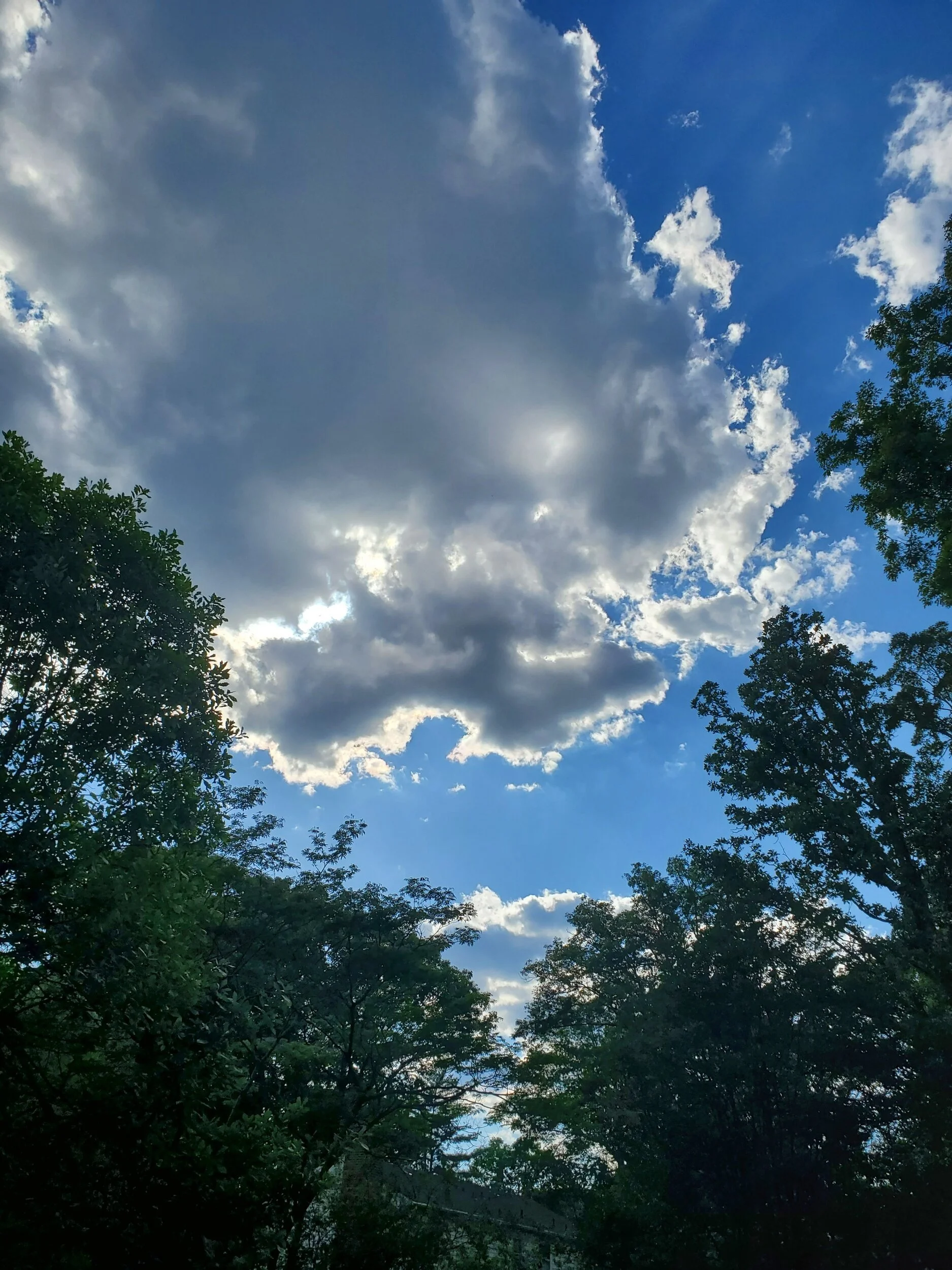 Day 8: Today