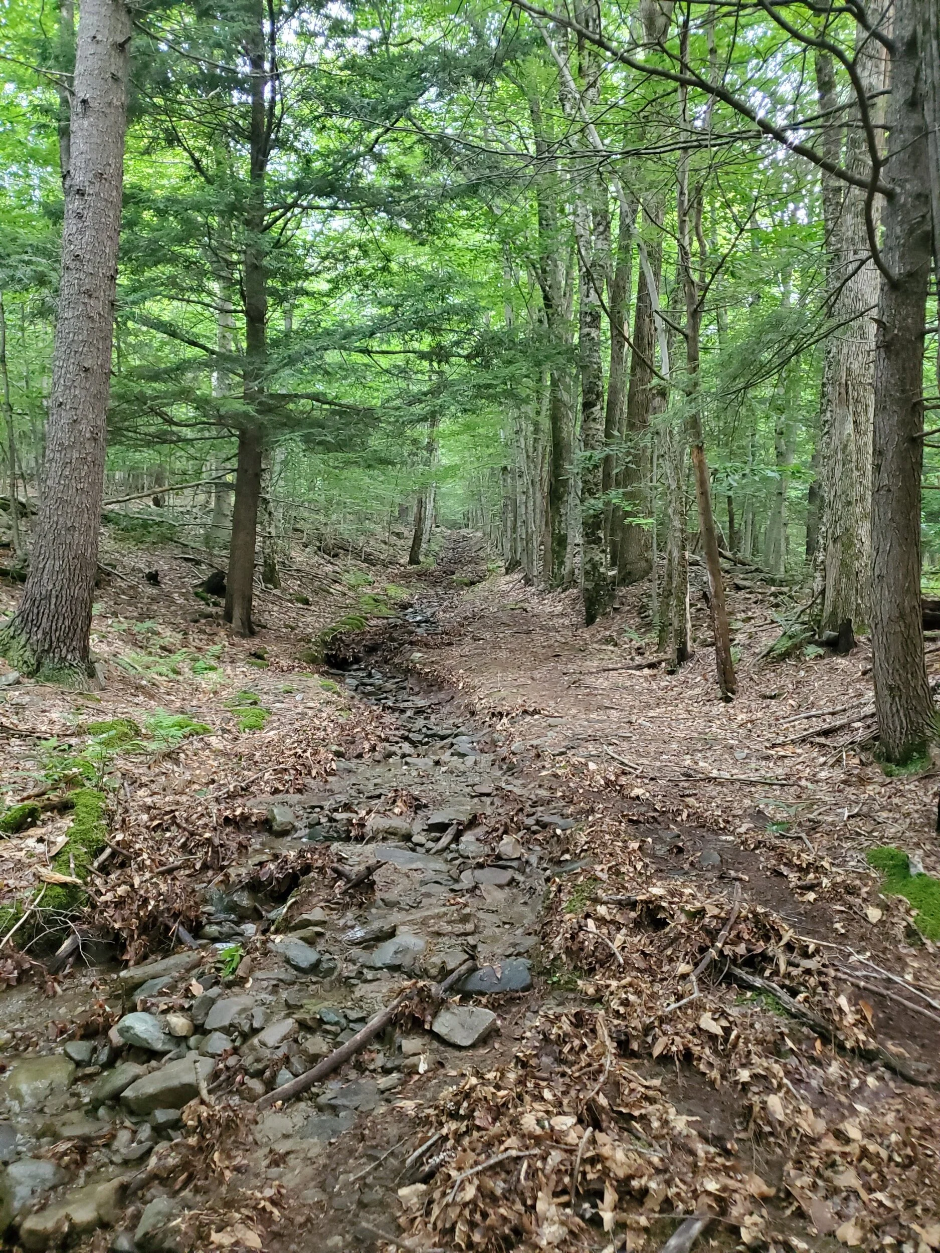 Day 61: The journey ahead