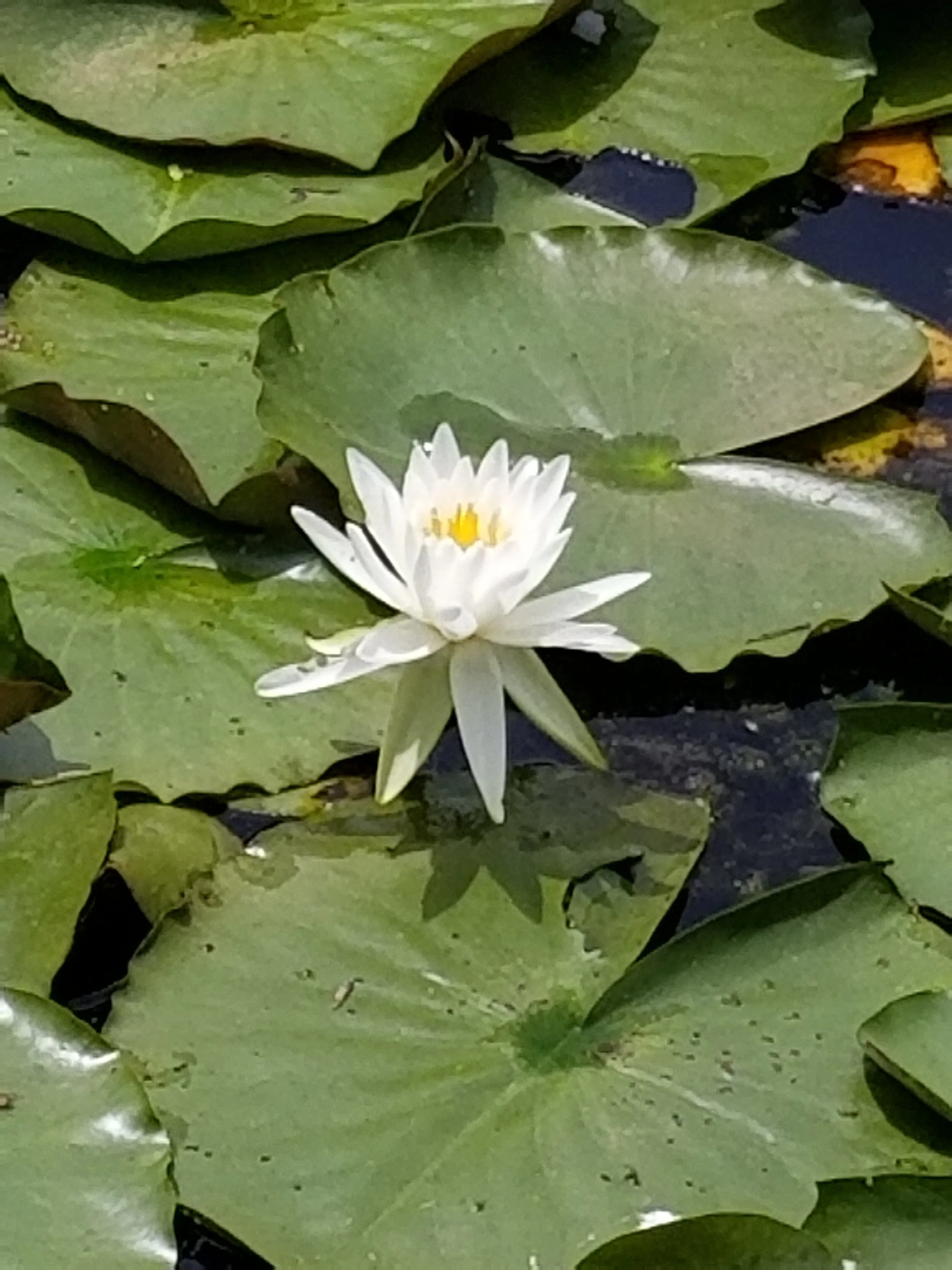 Day 68: Hidden gems
