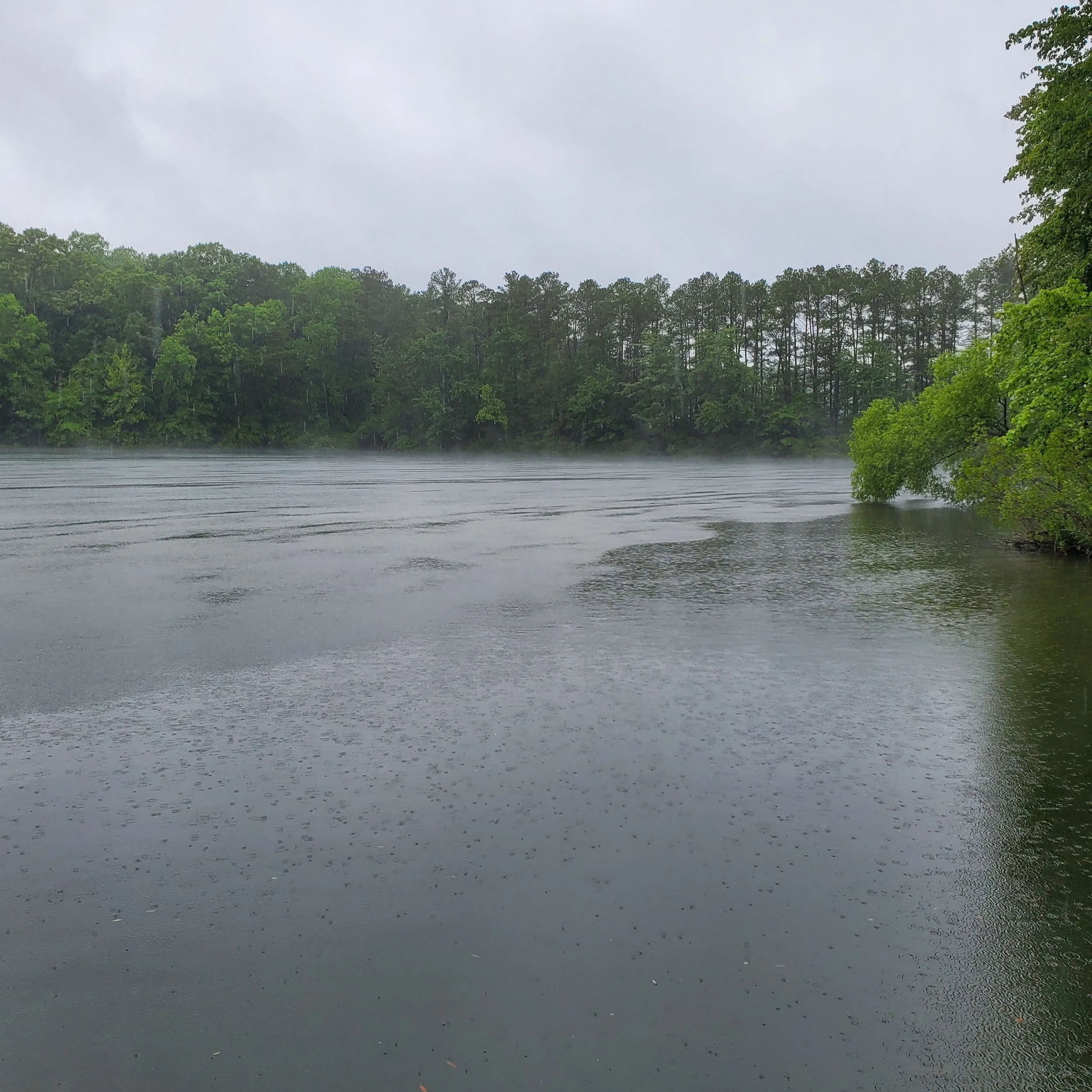 Day 167: Prayer with the Rains for 2022