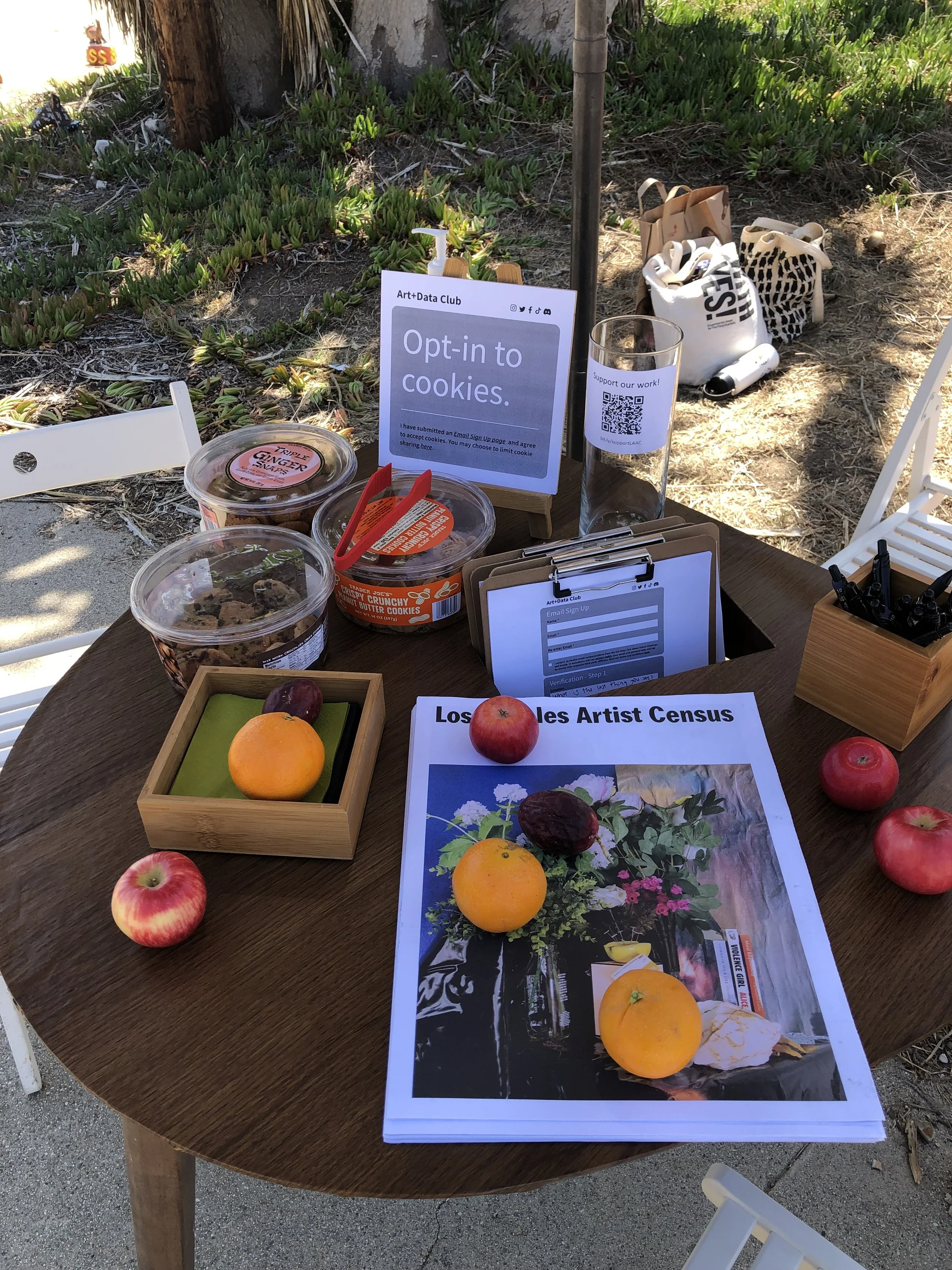 Photo by Michael Rippens6.jpeg