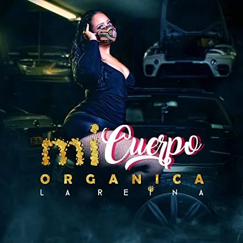 Download My Music