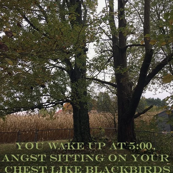 For Those Who Song Forgot ( the photographer's shadow)