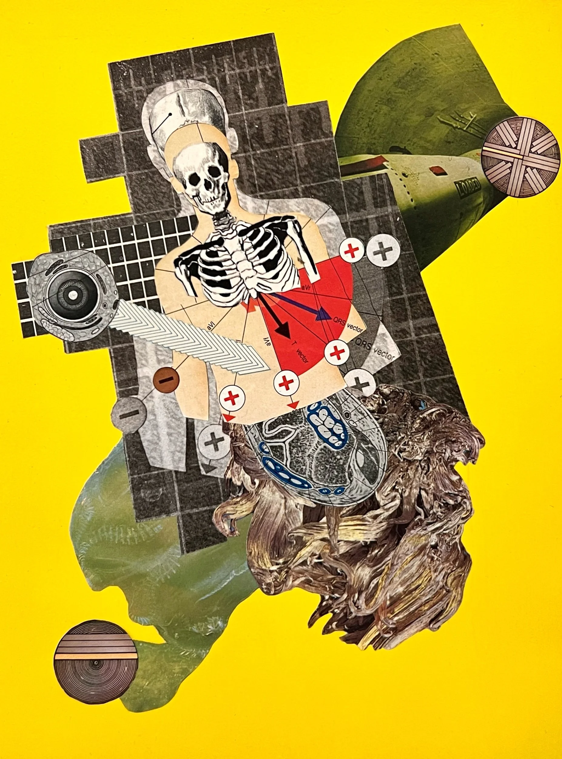 The Rise, Fall and Rebirth of Modern Man 7