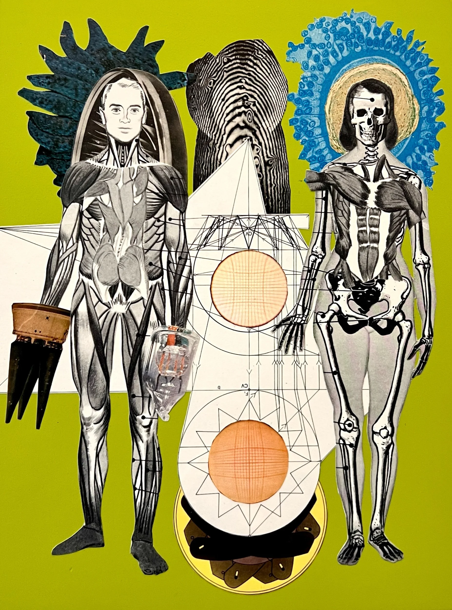 The Rise, Fall and Rebirth of Modern Man 8