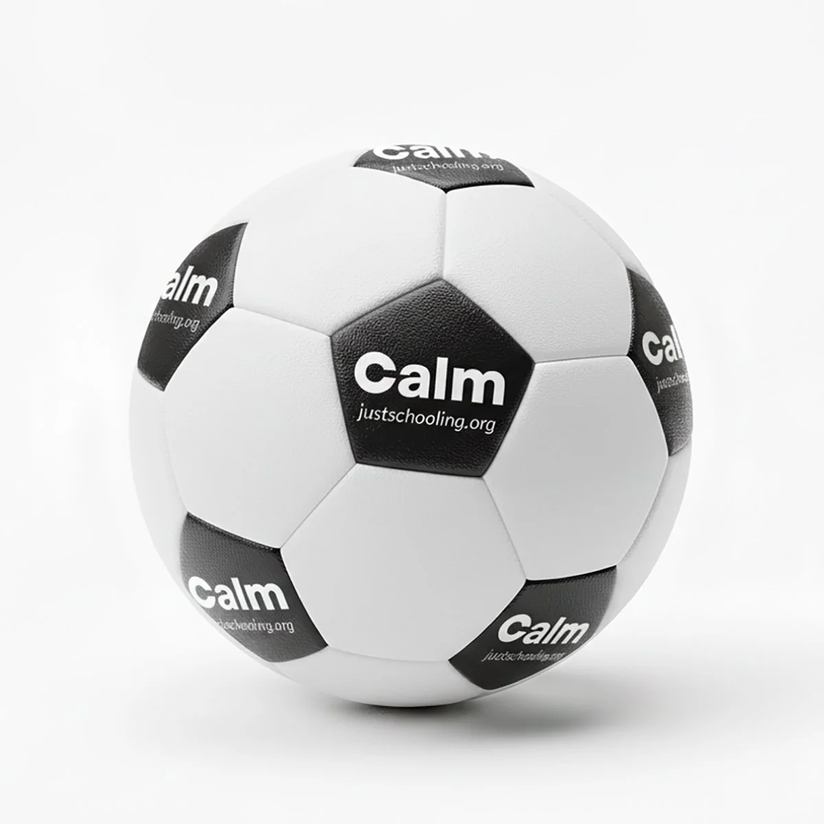 JustSchooling_Stressball_03.jpg