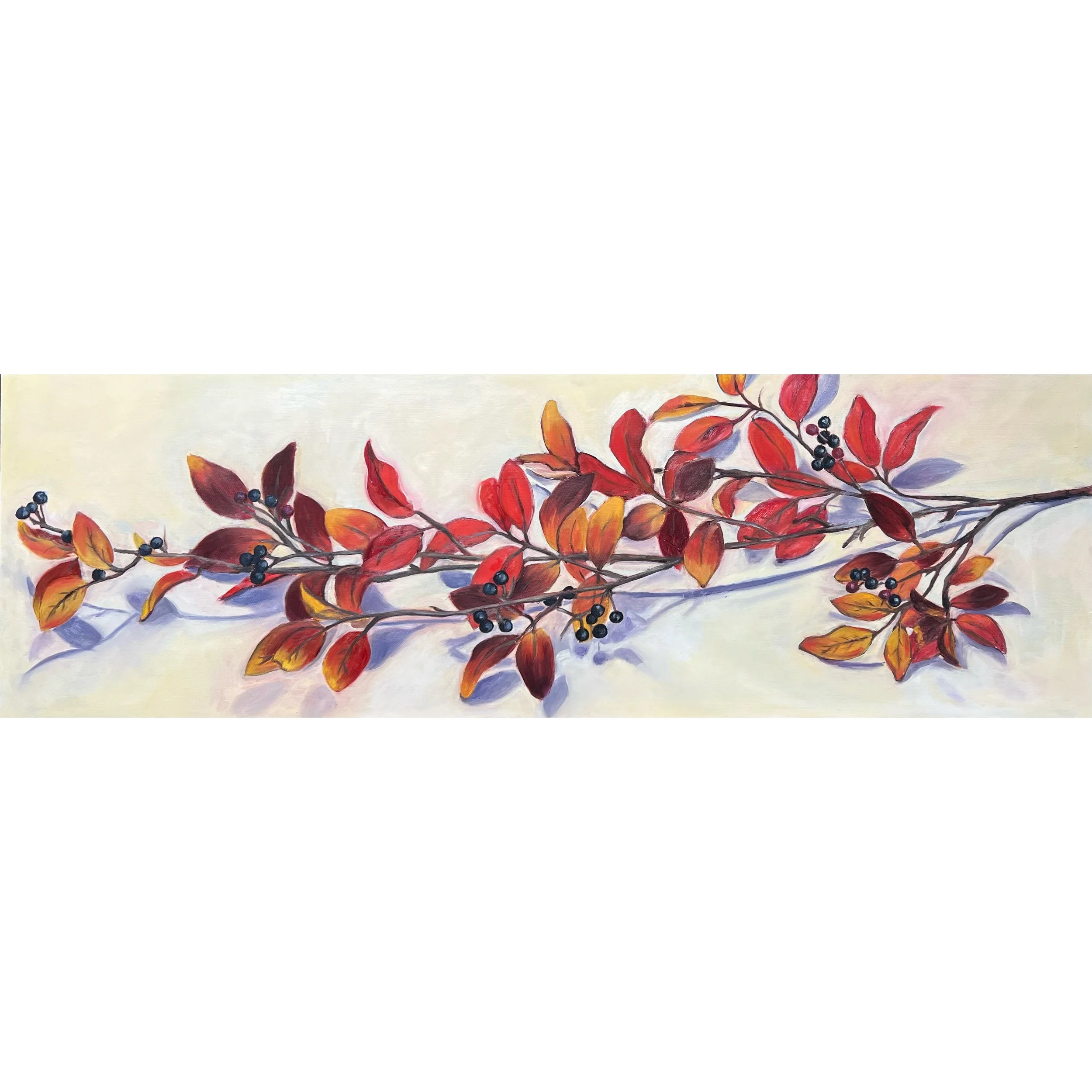 Whitagram-Image.jpeg