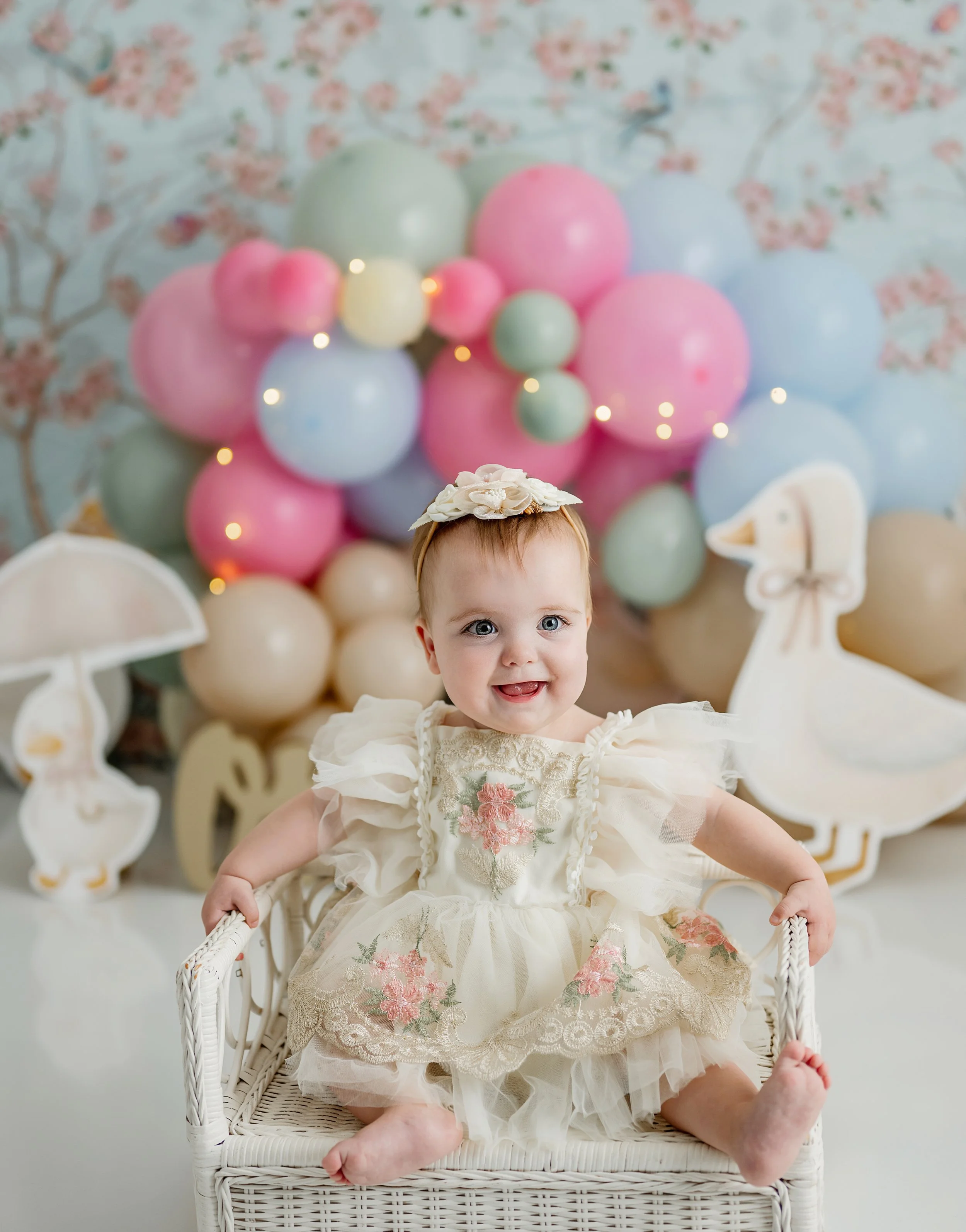 One Silly Goose Photoshoot in Syracuse NY