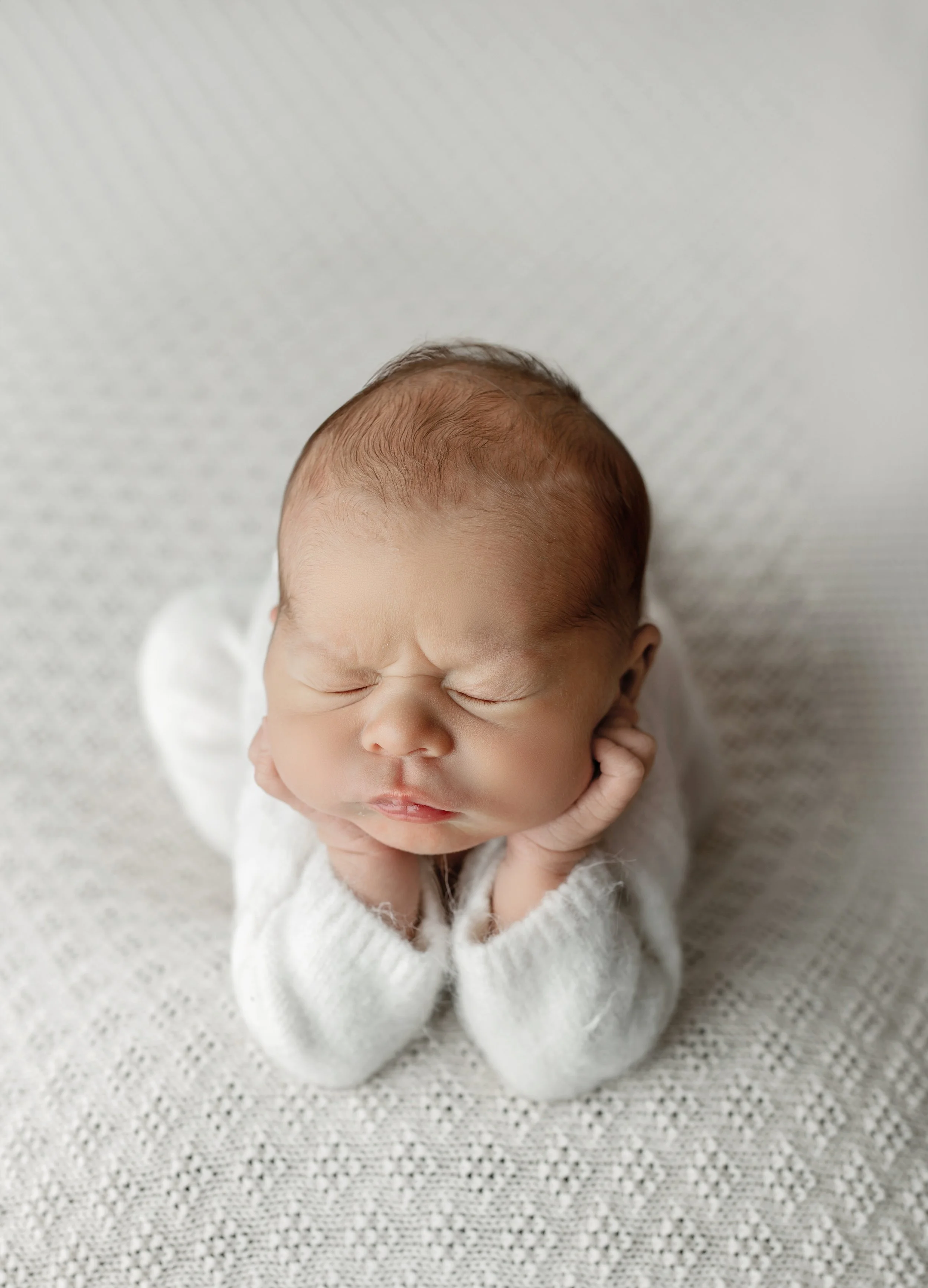 posed newborn photos in syracuse ny