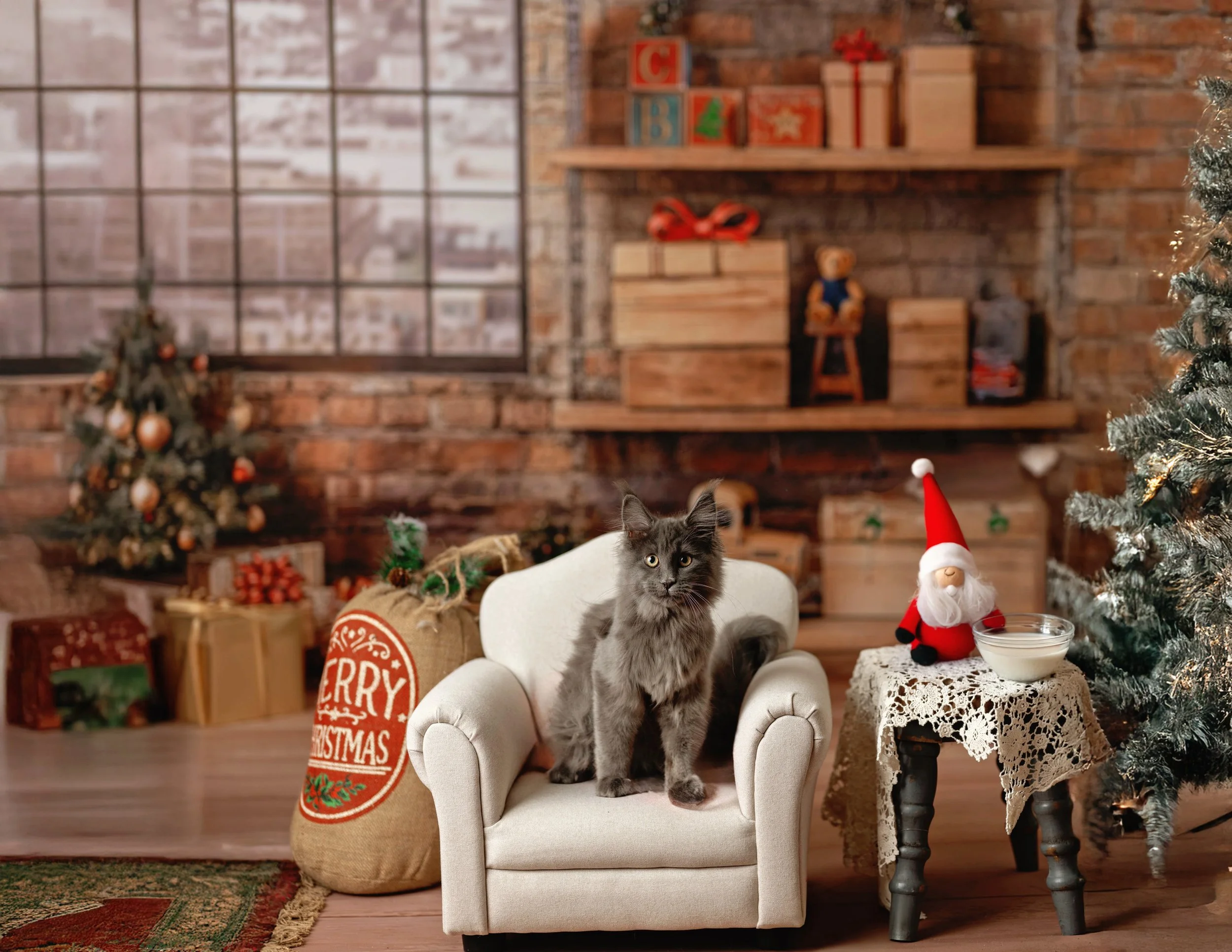 christmas pet photos in syracuse ny 
