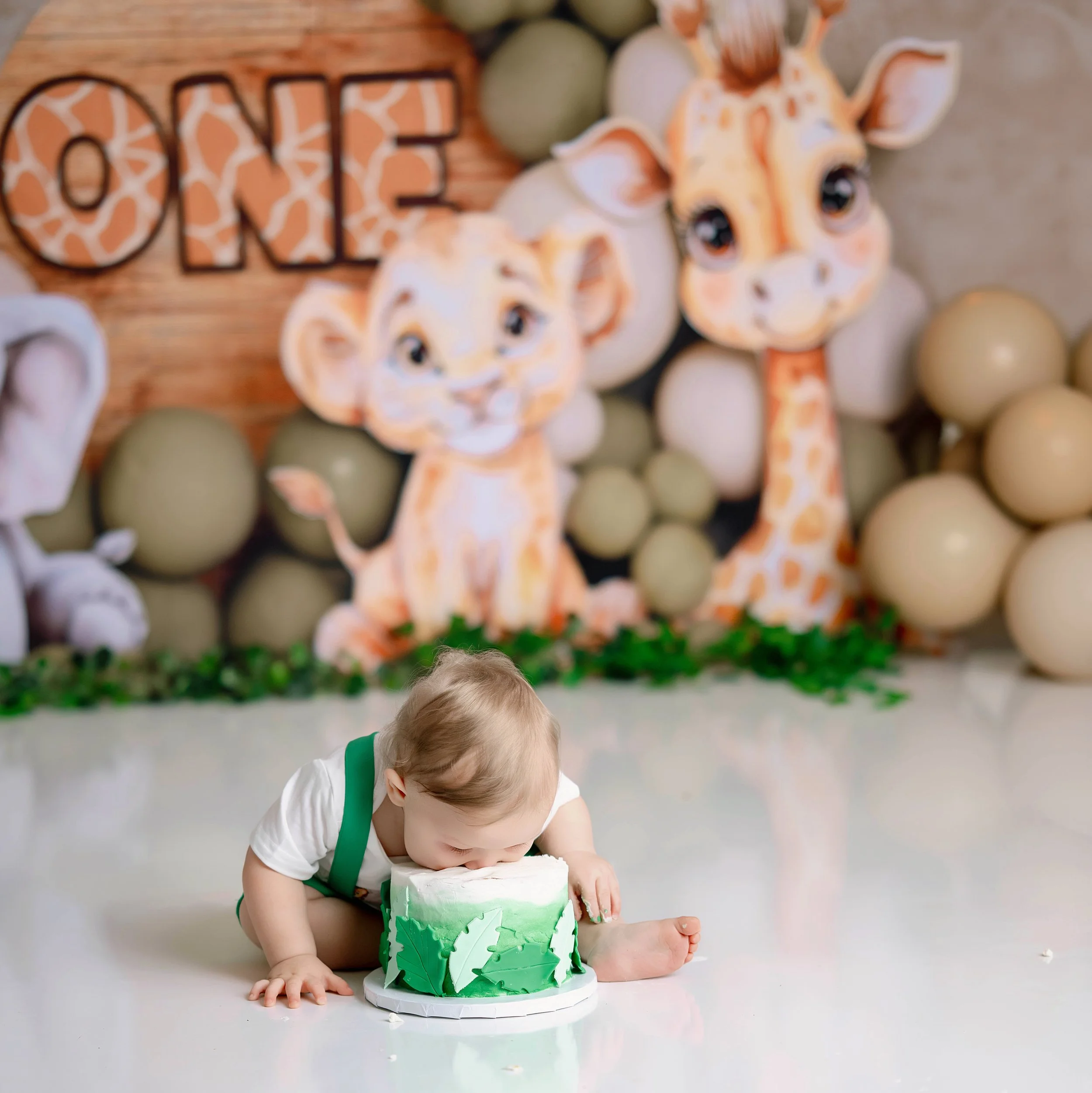 cake smash photographer in syracuse ny 