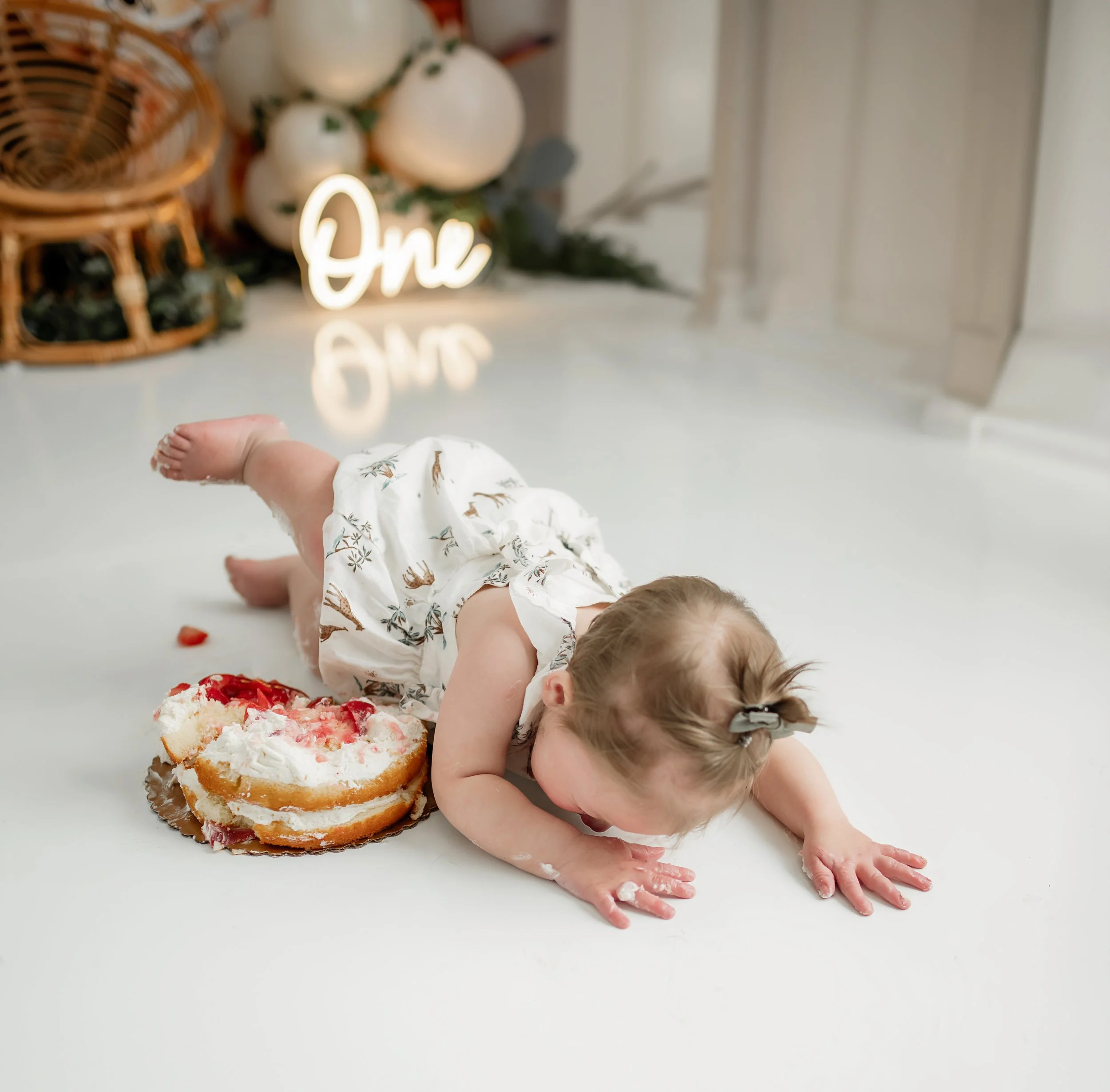 First birthday photos in Syracuse NY