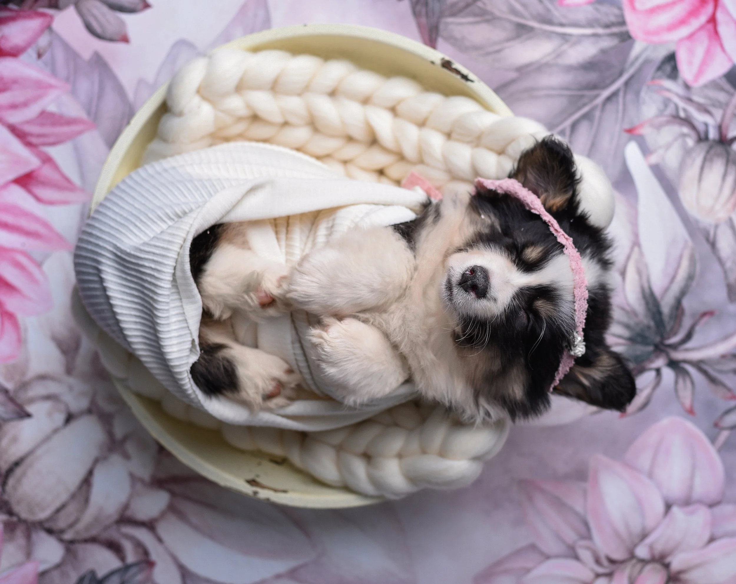 Photographer in Syracuse NY